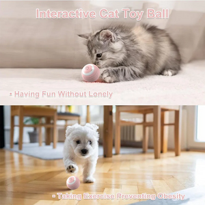 Cat Teaser Ball | Pet Teaser Ball | Luxe Livings