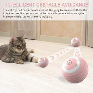 Cat Teaser Ball | Pet Teaser Ball | Luxe Livings